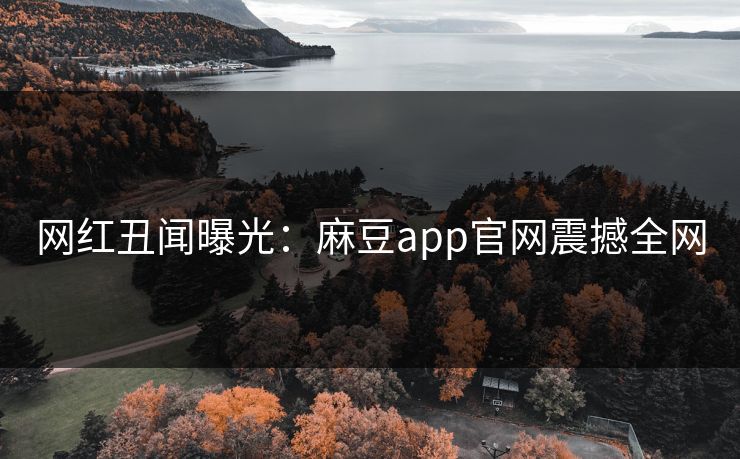网红丑闻曝光：麻豆app官网震撼全网